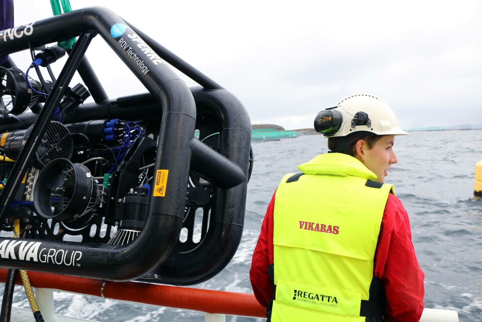 Teamet på servicebåten Vikabas er godt fornøyde med den nye FNC8-vaskeren. Den er både enkel å betjene og den eneste notvaskeren som også gjør en god jobb på slakke nøter, mener de.