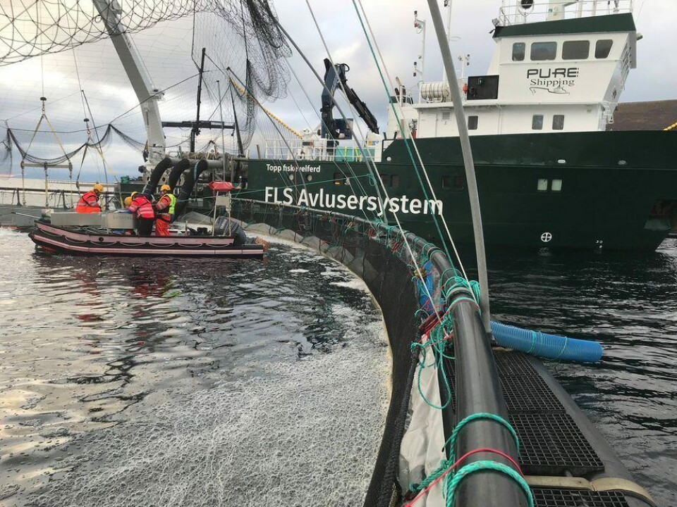 Avlusning før jul. Foto: Smøla Klekkeri og Settefisk. Avlusning før jul. Foto: Smøla Klekkeri og Settefisk.