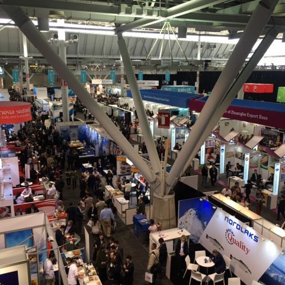 Lakseforbrukeren i USA har størst og dyrest handlevogn. Foto: Norges Sjømatråd.