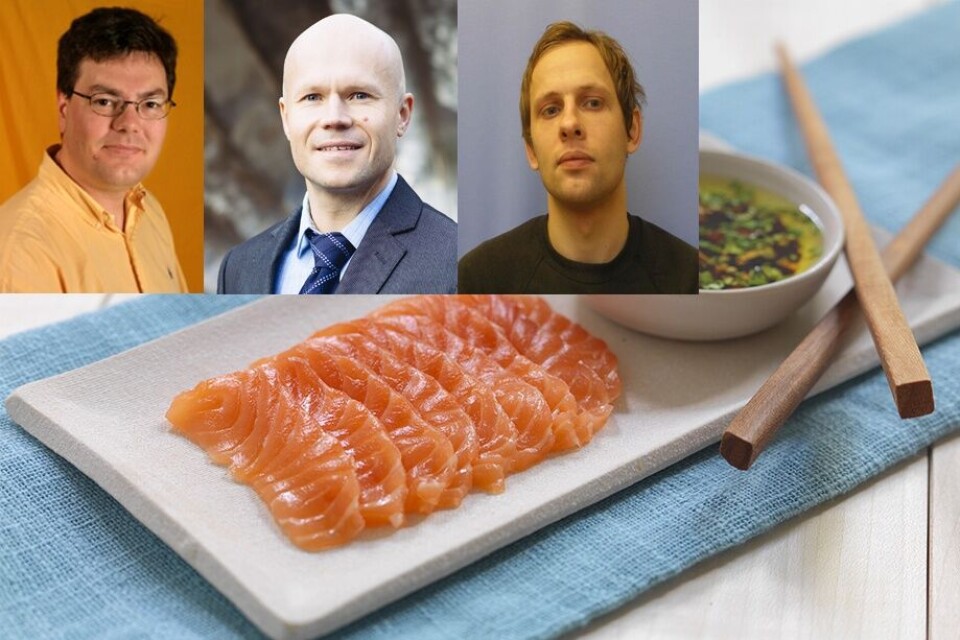 Professor Frank Asche, førsteamanuensis Bård Misund, og professor Atle Øglend skriver og hvorfor en pris som hopper opp og ned kan være en stor utfordring for bransjen.
