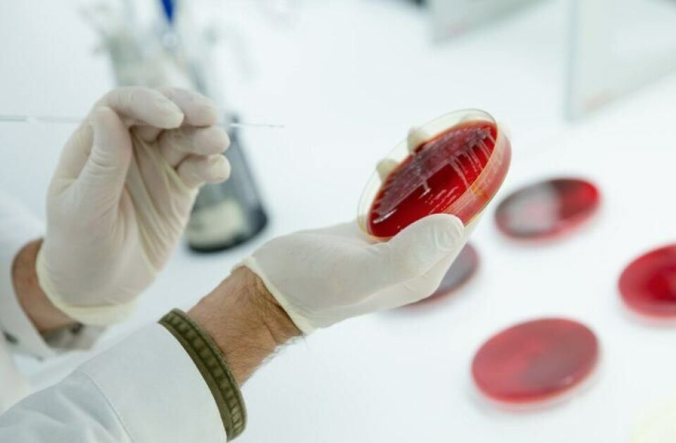 Vaxxinova har kompetanse innen bakteriologi, virologi, serologi og molekylærbiologi. Diagnostikk illustrasjon. Foto: Vaxxinova.