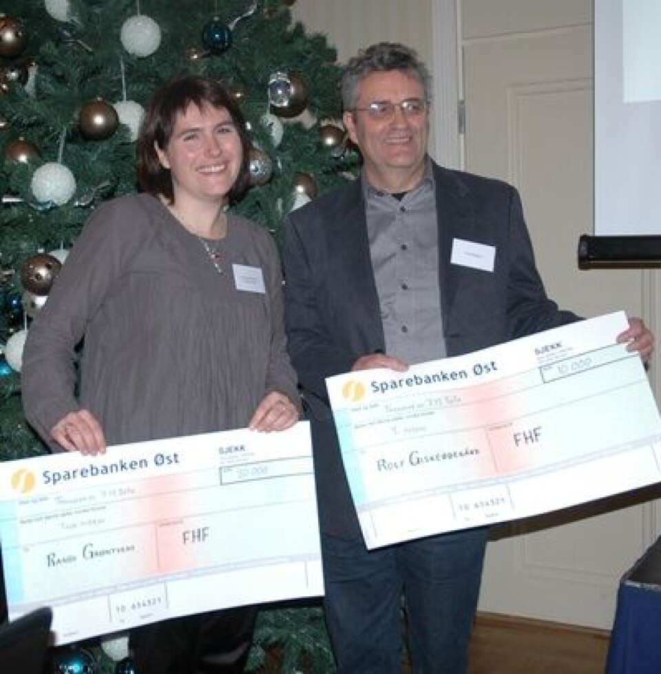 Formidlingsprisen 2010