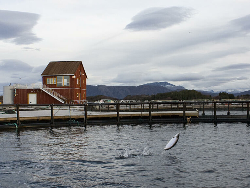 Norsk Havbrukssenter, laks som hopper