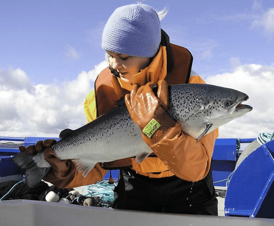 Verdens dyrehelseorganisasjon har fiskehelsekonferanse i Bergen