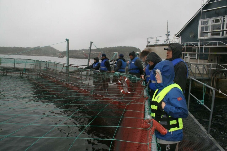 Delegasjon fra 'Fish Quarantine Inspection Agency' (FQIA), på besøk på Blom Fiskeoppdretts visningsanlegg i øygarden for å lære om norsk lakseproduksjon.