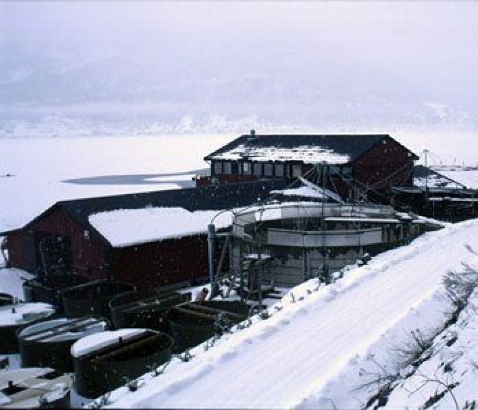 Høyskolen i Sogndal