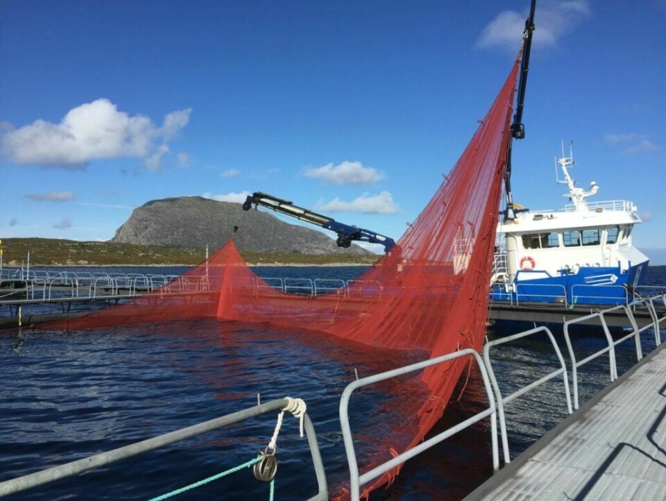 - Selskapet har planer om å produsere 5 800 tonn laks i år, sier daglig leder Nils Tore Karstensen. Foto: E. Karstensen Fiskeoppdrett AS