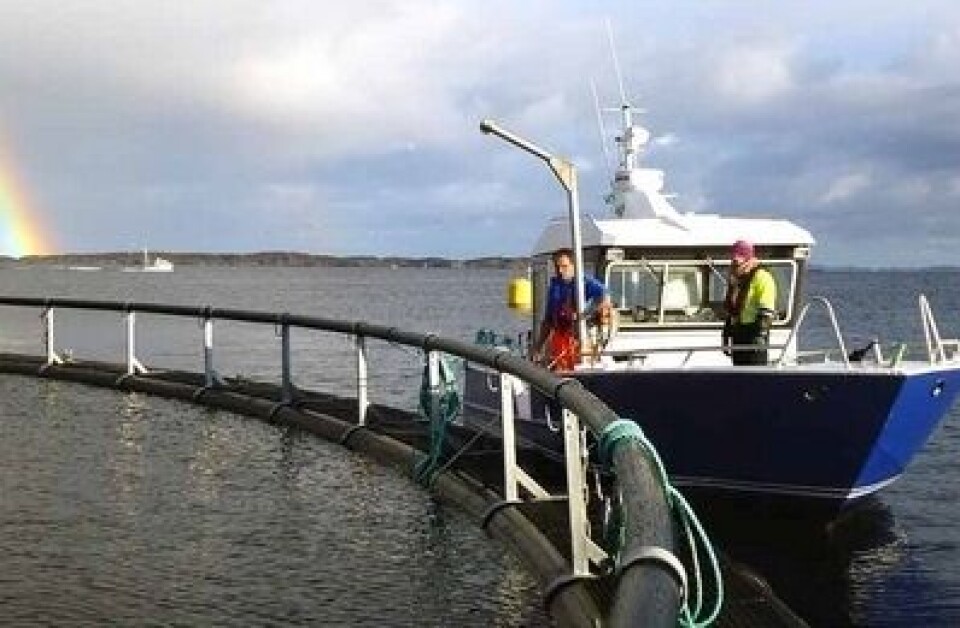 Fiske-Liv og Havbrukstjenesten er enige om å fortsette driften hver for seg. Foto: Havbrukstjenesten