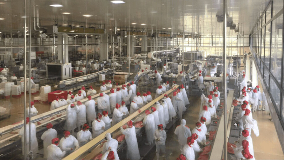 AquaChiles utvidede prosessanlegg sysselsetter 1000 personer. Foto: AquaChile.