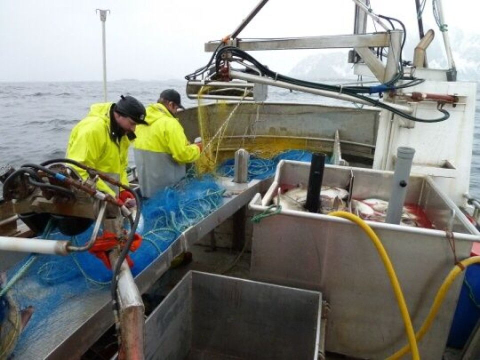 Illustrasjonsfoto fra garnfiske ved Rubicon. Foto: Sintef.
