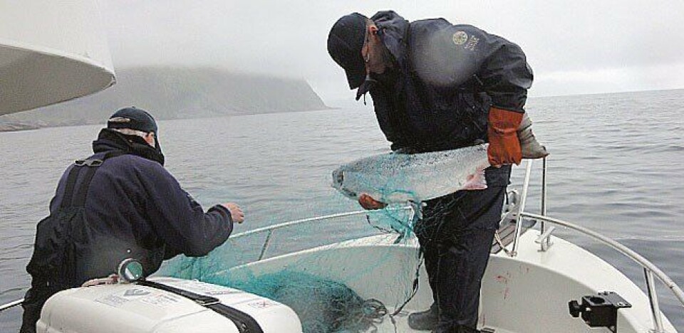 SNO på lakseoppsyn i Troms. Nesten ett av tre ulovlige garn ble inndratt i dette fylket i år. Foto: Olav Inge Edvardsen, Statens naturoppsyn.