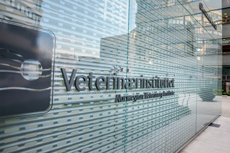 Veterinærinstituttet. Foto: Eivind Senneset