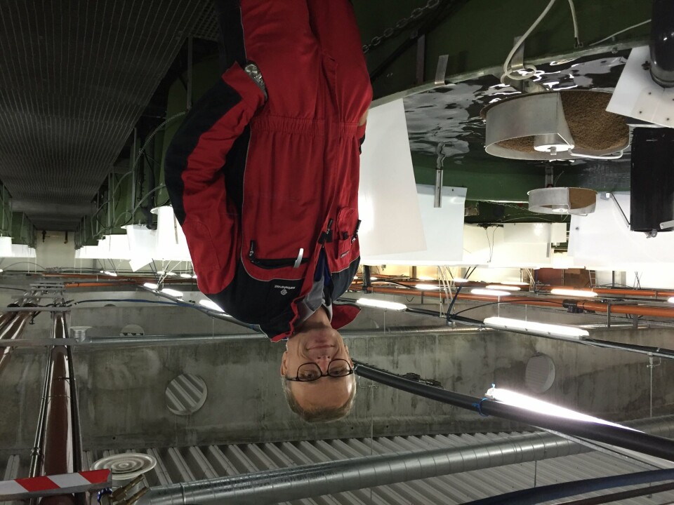 Arne Flåøyen, avdelingsdirektør for avdeling fiskehelse besøkte Marine Harvest sitt settefiskanlegg i Slørdal i august 2016. Foto: Hanne R. Skjelstad.