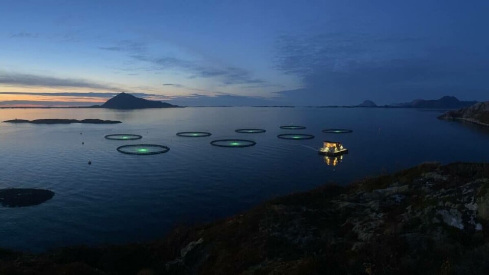 Norcod Frosvika, Meløy. Foto: Norcod