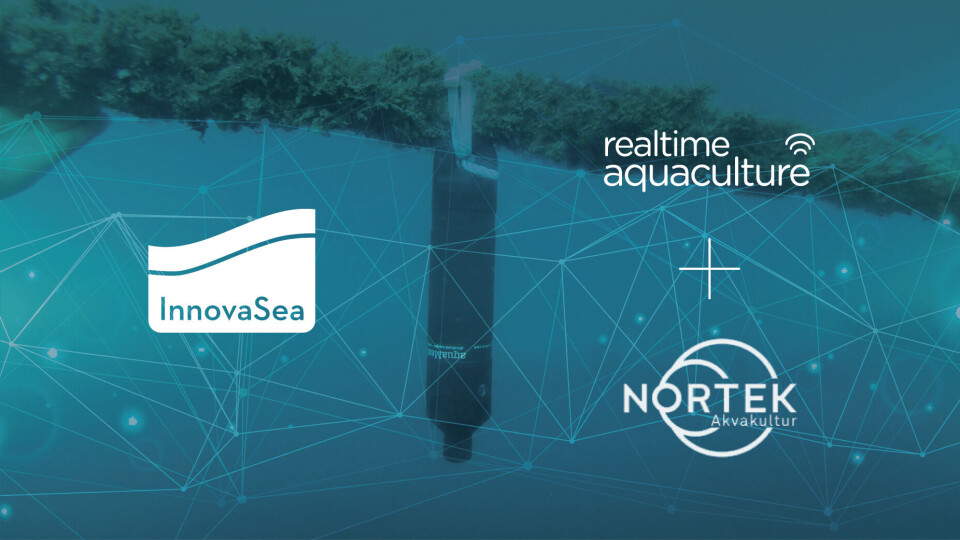 Innovasea fullfører nå kjøpet av Nortek Akvakultur. Foto: Innovasea