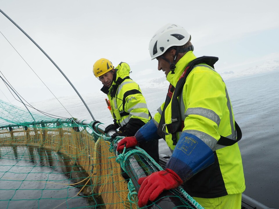 Vidar Aamo Nikolaisen ny regiondirektør for Grieg Seafood Finnmark. Foto: GSF.