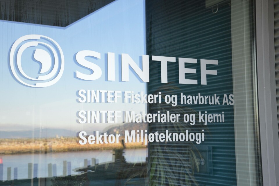 Sintef, fiskeri og havbruk, kontorer