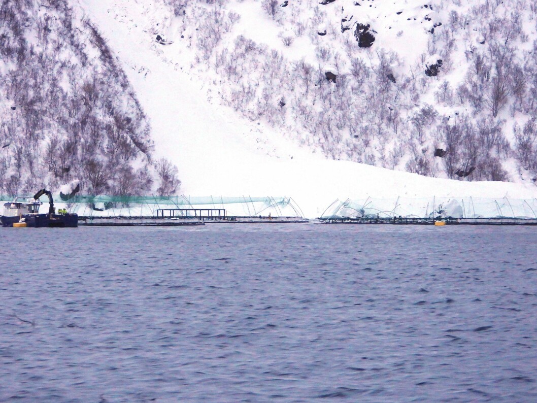 Det gikk et snøskred ved anlegget «Davatluft» i Alta kommune ved Stjernøya i går. Foto: Narve Leonhardsen/Fiskeridirektoratet.