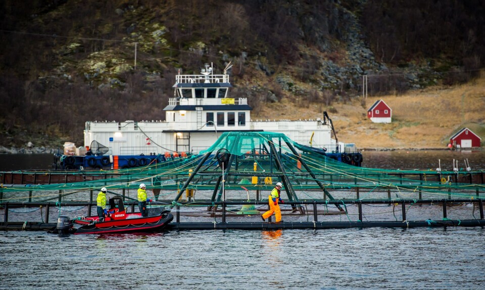Selskapet kommer på merdkanten og leverer systemet, samt gjennomfører opplæring. Illustrasjonsfoto: AllMarine.