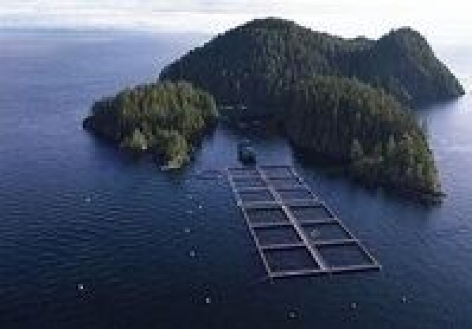 Biologien i Chile ser stadig bedre ut. Foto: FIS