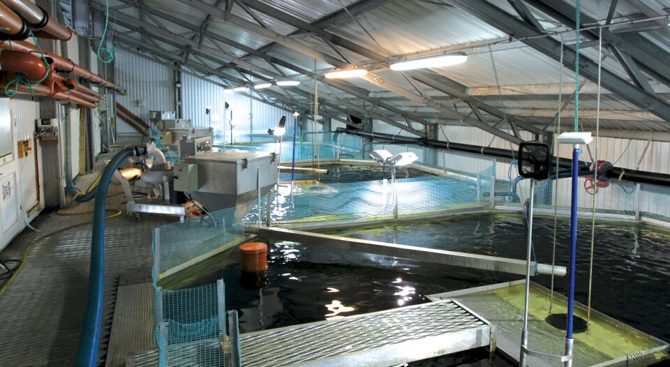 Fisketanker for smolt inne på pilotanlegget Smøla Klekkeri og Settefisk. Clarity har hatt tett kontakt med Innovasjon Norge gjennom hele prosessen fra nyskaping til internasjonalisering. Foto: Vegar Sommerstad Haugland.