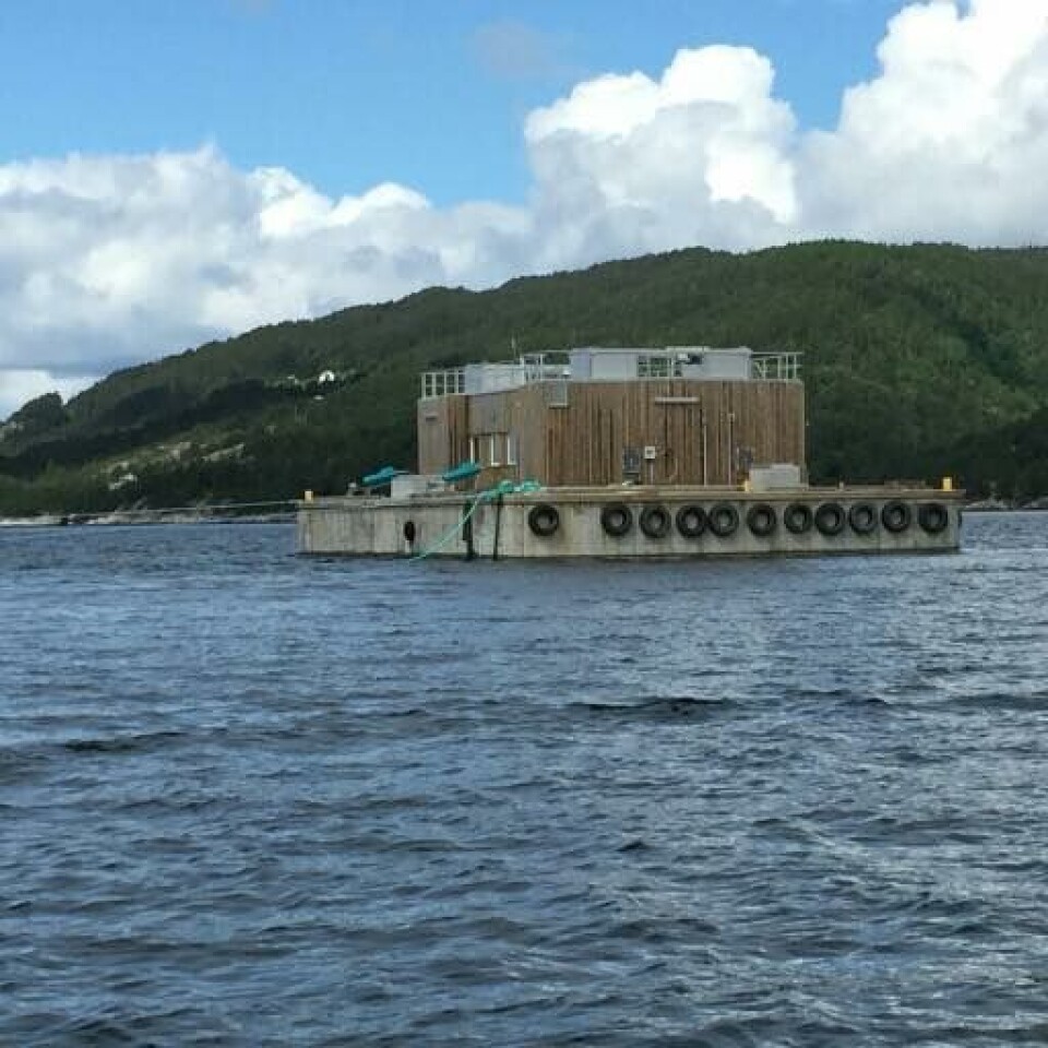Lokalitet Leirvika i Masfjorden Engesund Fiskeoppdrett