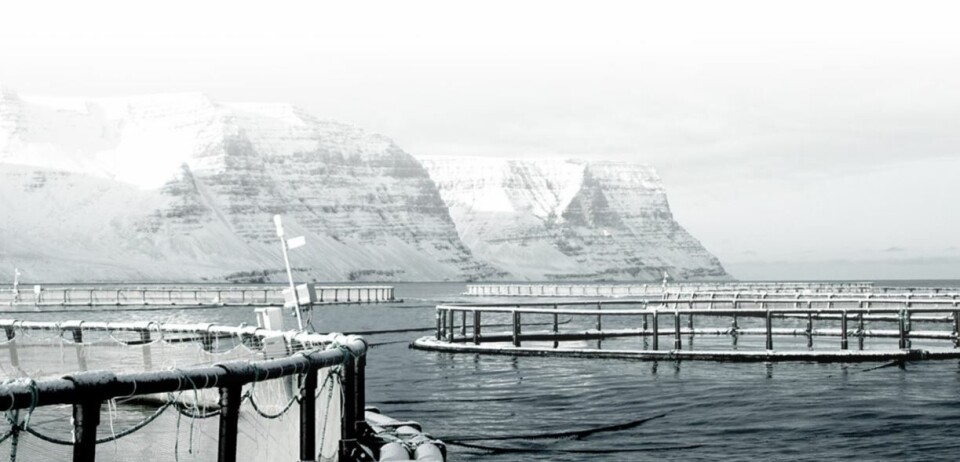 Anken mot Arnalax har nå blitt avvist av islandske rettsinnstanser. Foto: Arnalax
