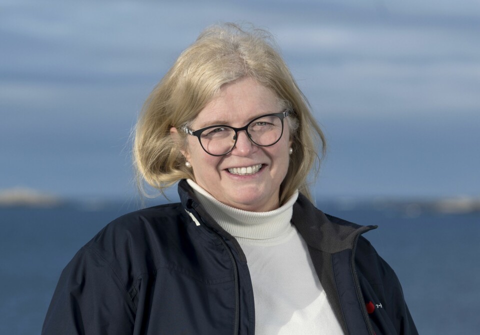 Å få til en kobberfri, høyeffektiv notbeskyttelse som ikke belaster miljøet har lenge vært «den hellige gral» i vårt arbeid, sier Britt Hope, ansvarlig for utvikling av notimpregnering hos Steen-Hansen AS.