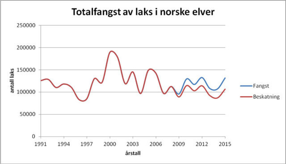 Illustrasjon av fangstet laks. Kilde: SSB.