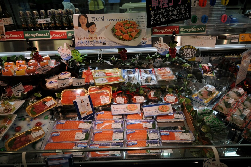 Laksefisk-andelen av sashimimarkedet er økende. Samtidig ser man at norsk laks tar stadig større andeler av laksefisk til sashimi på bekostning av ørret fra Chile. Foto: Pål Mugaas Jensen.