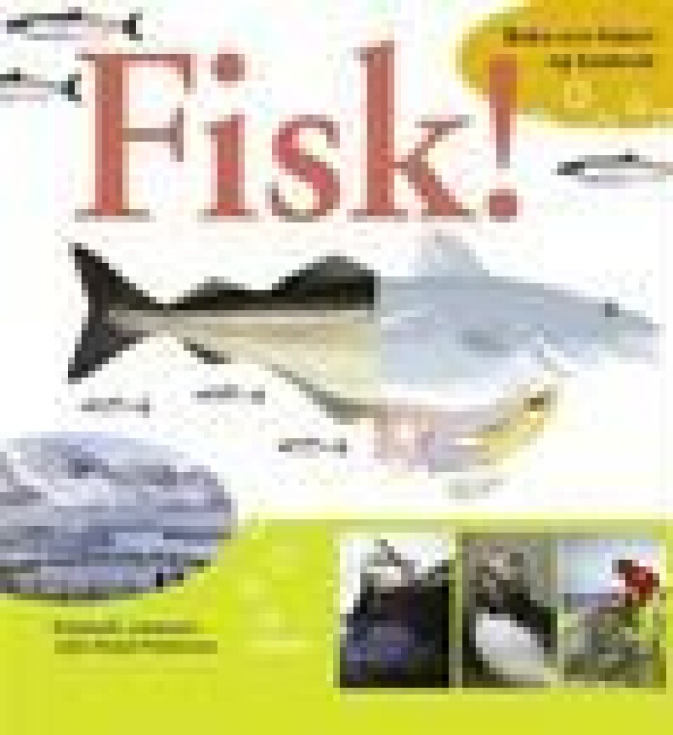 Fisk