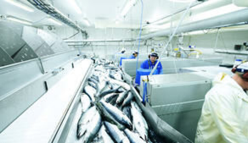 Sterk-lakseeksport-i-november_small