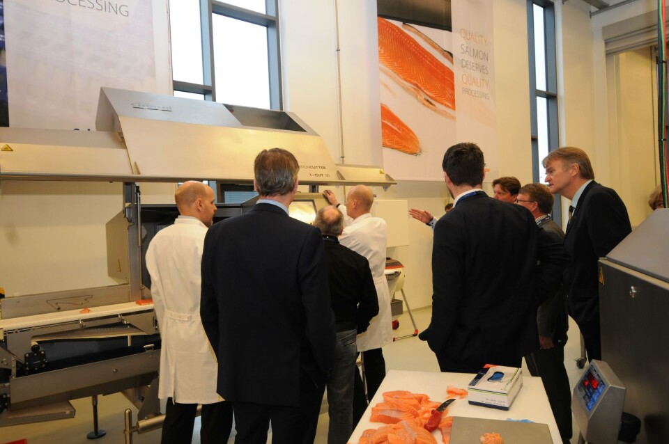 Fisken fileteres med næringskomiteen som interesserte tilskuere.