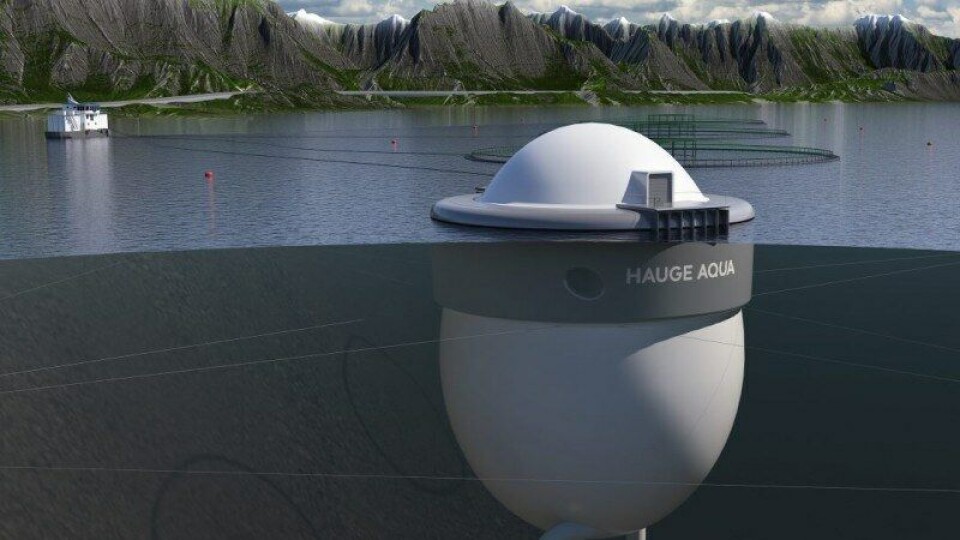 Hauge Aqua (2)