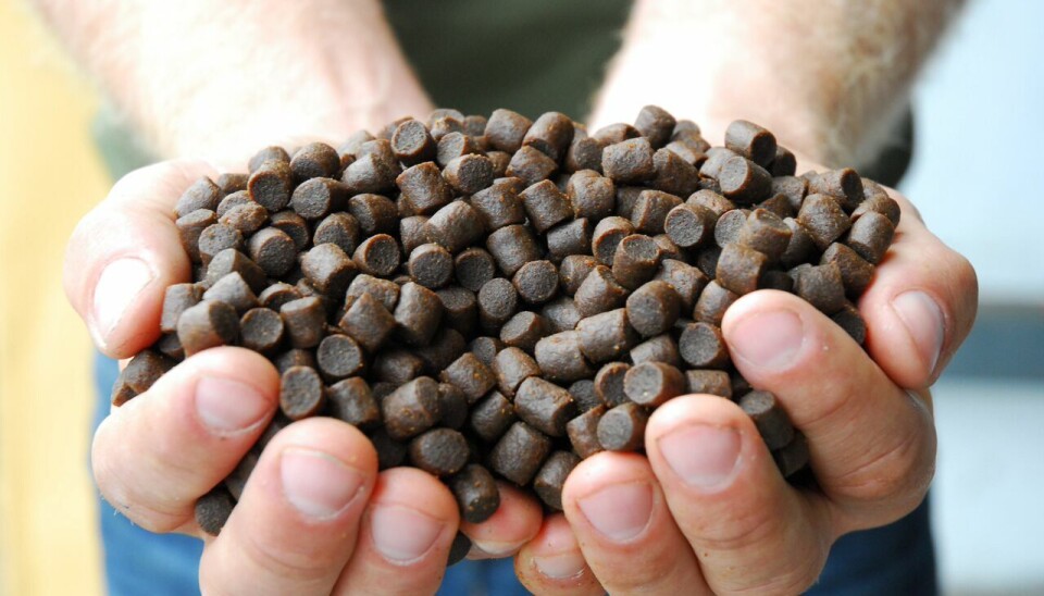 SuperSmolt-fôret til Europharma kalt for Feed Only.