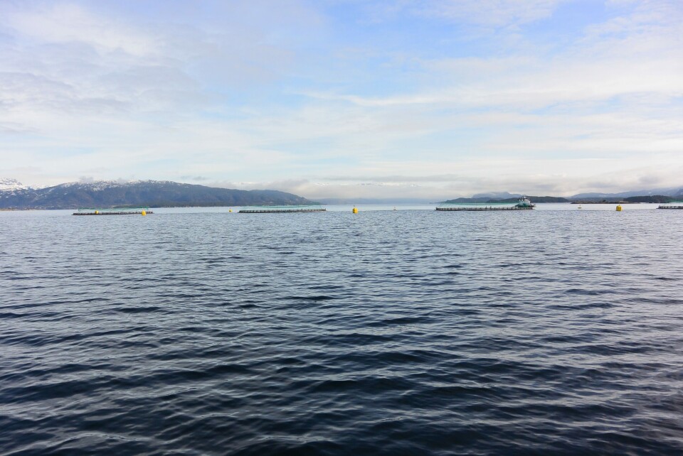 Lokalitet Langøy. Foto: Eide Fjordbruk. Lokalitet Langøy. Foto: Eide Fjordbruk.