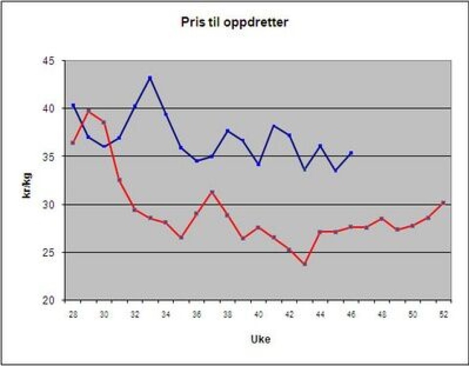 Oppdretterprisen steg vel en krone og holder seg i skiktet rundt 35-36 kroner per kilo. Datakilde: Nos/FHL.