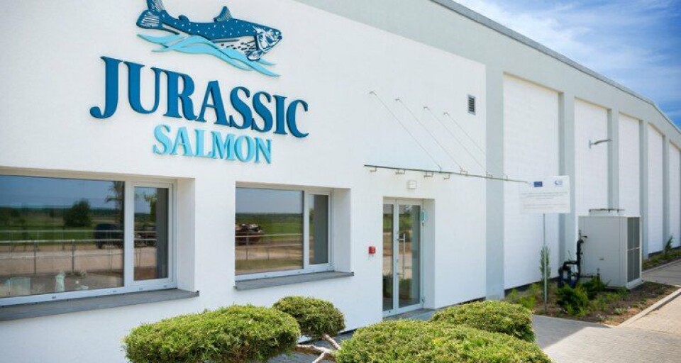 Jurassic Salmon har tidligere i år fått ASC-sertifisering som det første landbaserte anlegget i landet. Foto: Jurassic Salmon.