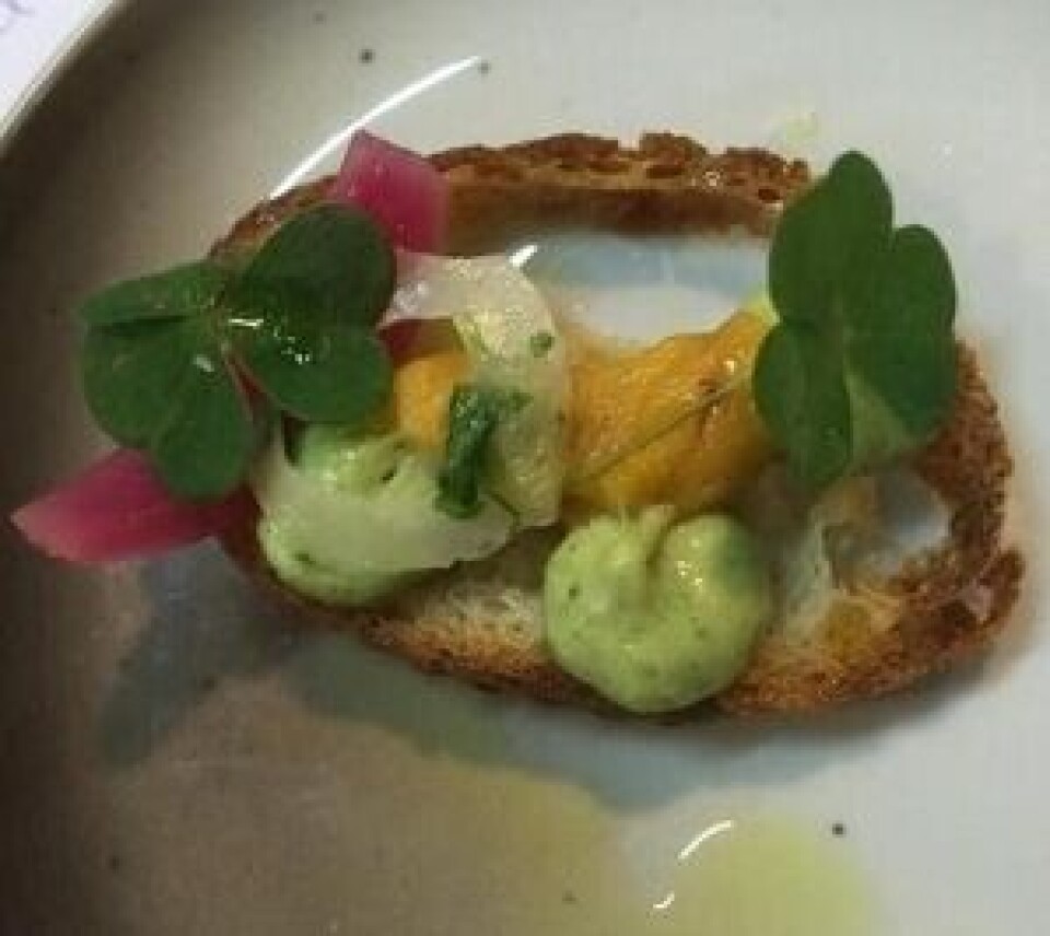 - Kråkebolle på sprø toast, fennikel-crudite, syltet løk og purreløkskrem. Foto: Thomas Faa