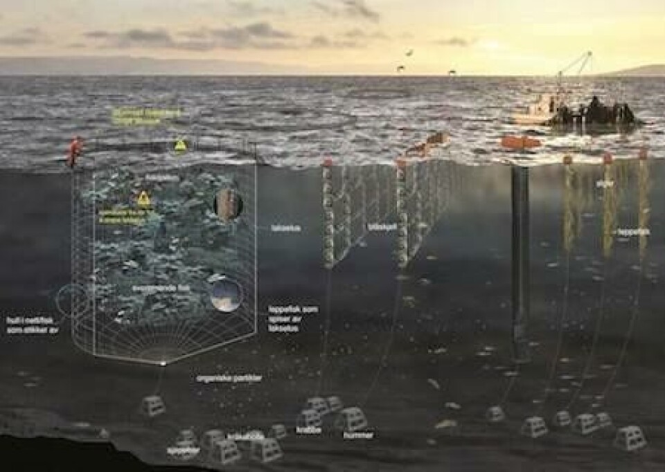 «Oil service» ser mot «Fish Service»