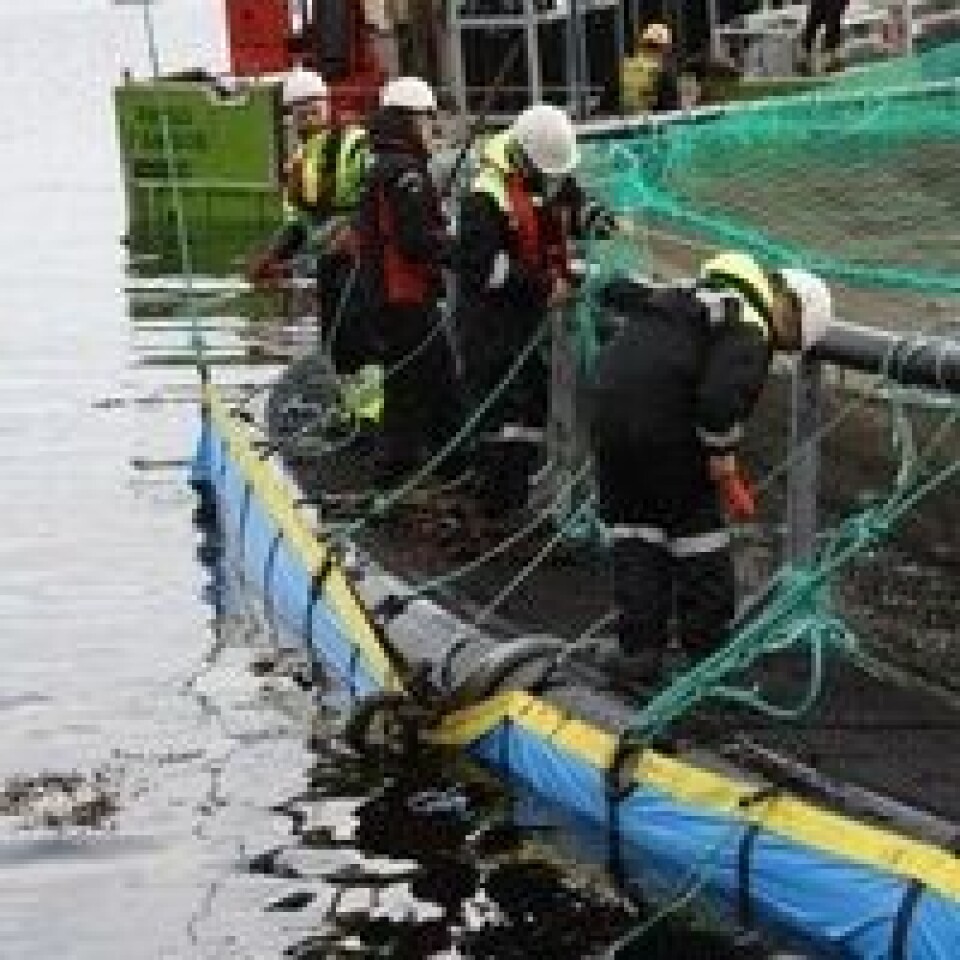 Foto: Sintef Helse