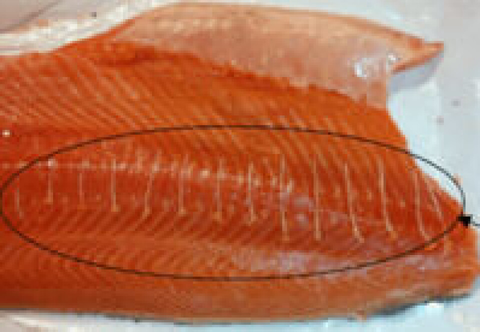Pinnebeinrester i laksefilet. Foto: FHF