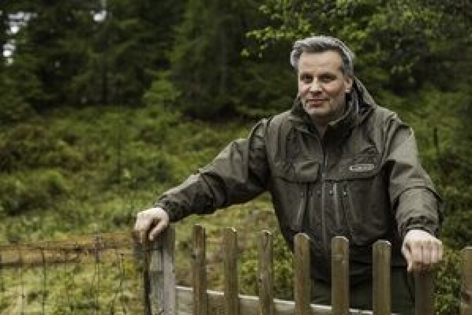 Tommy Reinås, leder i Miljøpartiet De Grønne, Nord Trøndelag Førstekandidat ved fylkestingsvalget i Nord Trøndelag. (Foto: Eivind Skorstad)