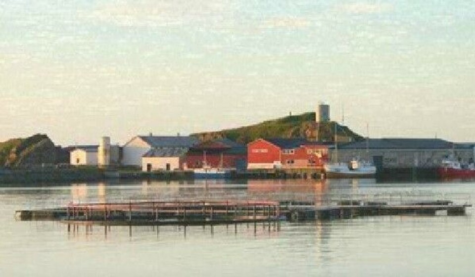 Foto: Gunnar Klo