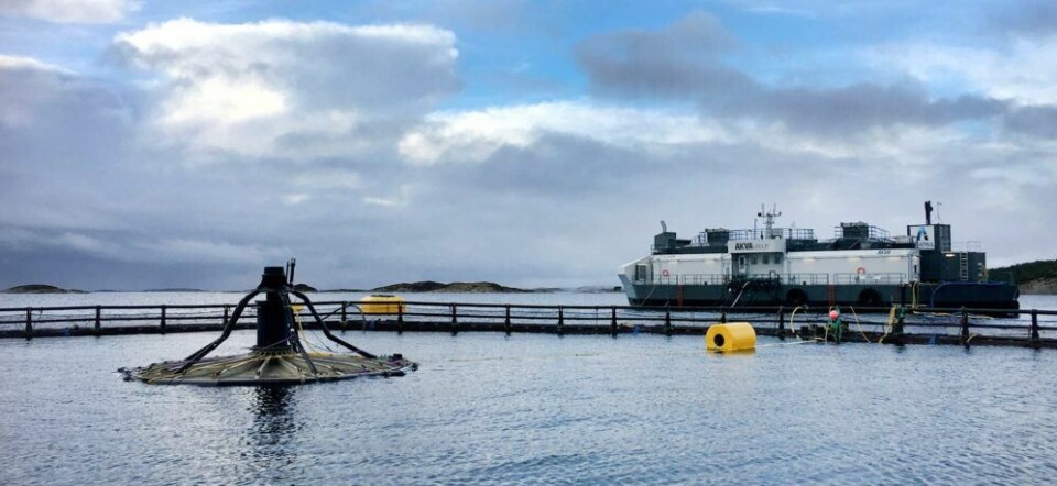 Tirsdag ble det for andre gang satt fisk i nedsenkbare Atlantis; denne gang 100 000 laks. Foto: SinkabergHansen