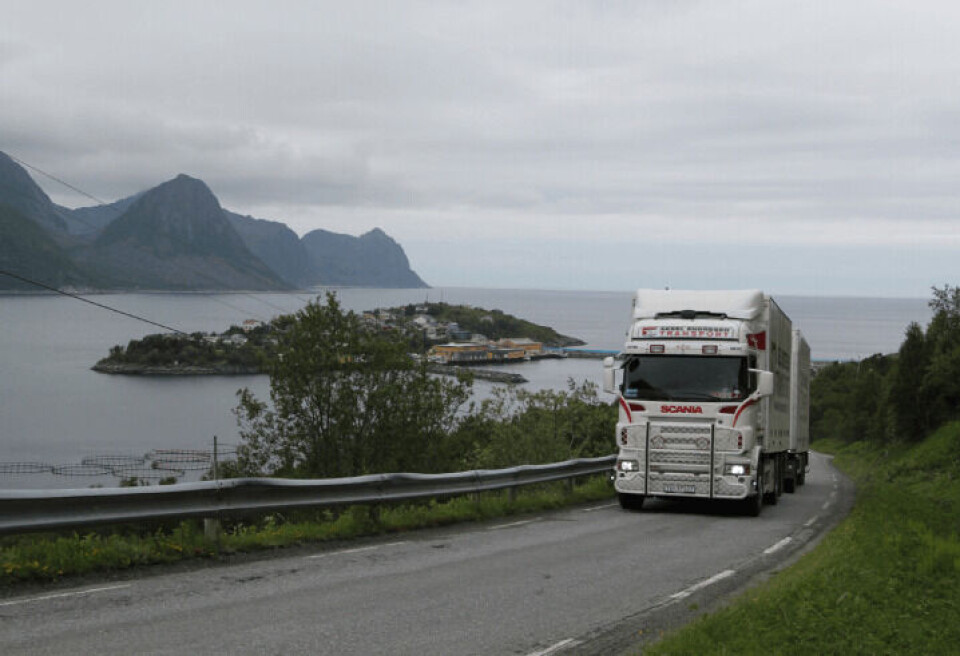 Sjømatklyngen Senja mener Statens Vegvesen har gjort en god og grundig jobb med å kartlegge flaskehalser for sjømattransporten langs veinettet på Senja. Foto: Ole-André Helgaas.