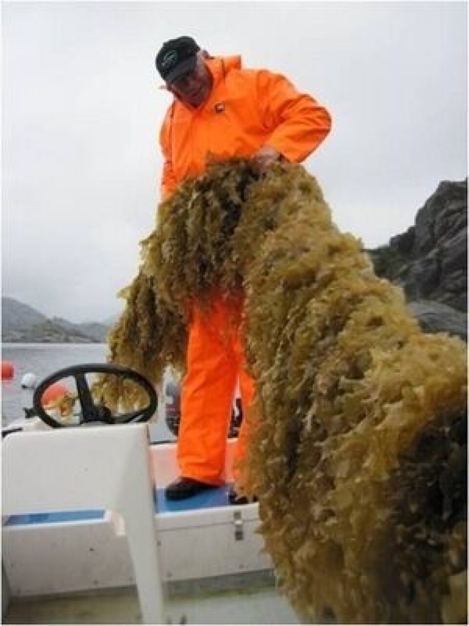 Sveinung Kråkås, haustar tare. Foto: Salmon Group.