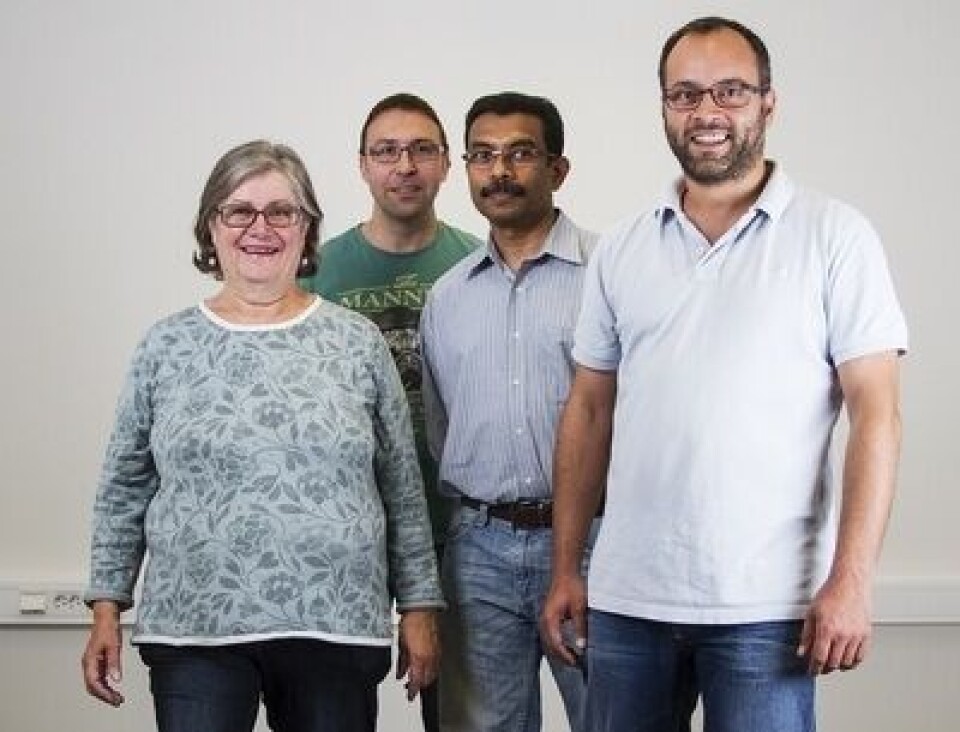 Fra venstre: Professor Christel Solberg, professor Igor Babiak, professor Kiron Viswanath og professor Jorge Fernandes, Fakultet for biovitenskap og akvakultur, Universitetet i Nordland. Foto: Svein-Arnt Eriksen, UiN