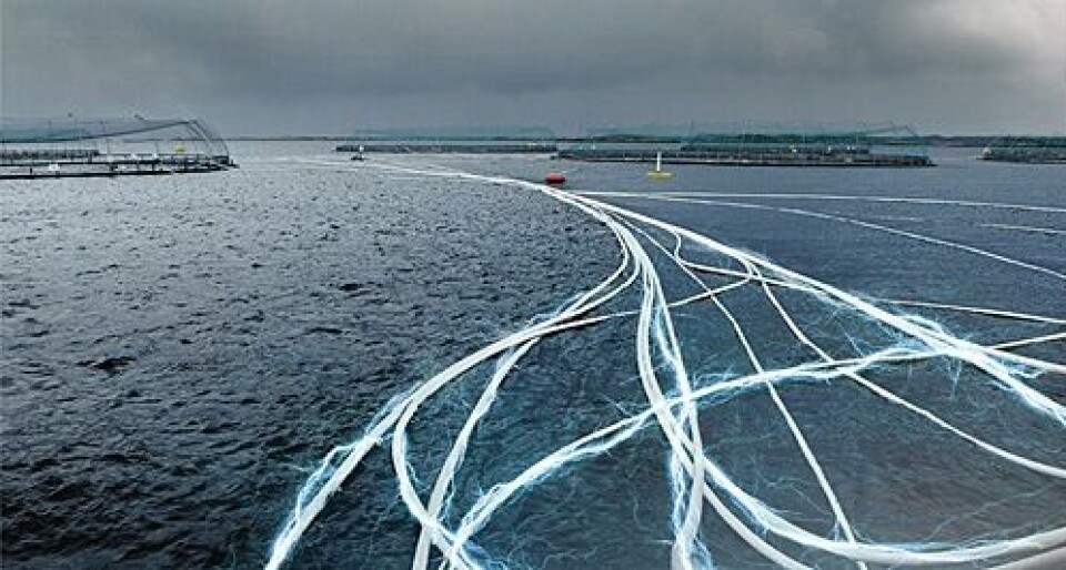 Havbruksteknologi var blant de prioriterte temaene ved årets utlysning av midler til nye forskerprosjekter i HAVBRUK. Foto: Aqualine.