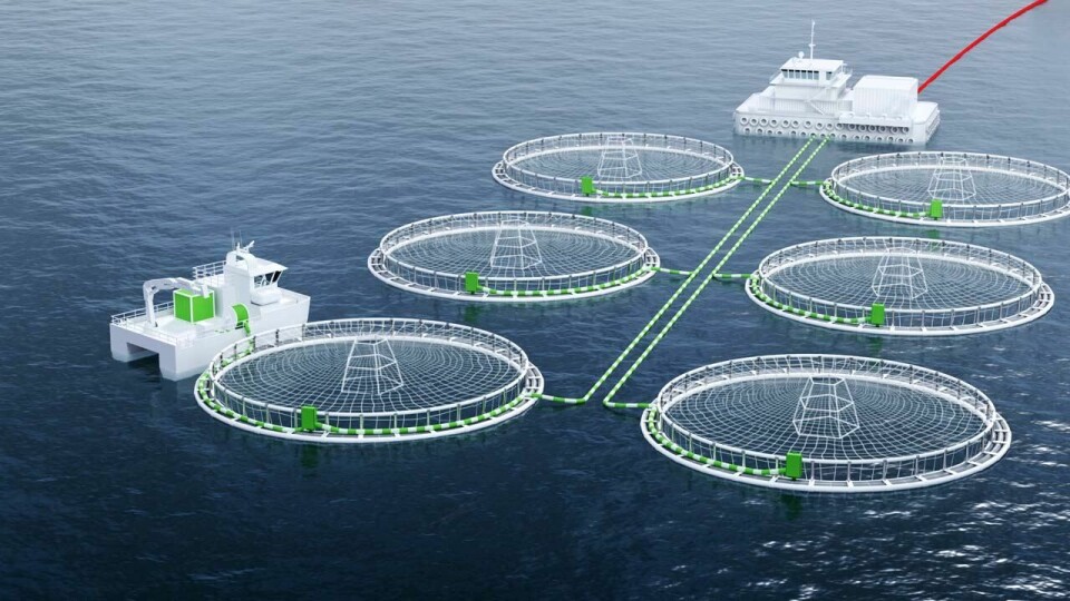 ABB and Bellona study shows that switching salmon farming to power from shore can cut emissions by 360 000 tons of CO 2 in Norway